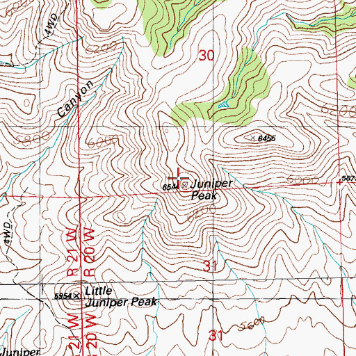 Topographic Map of Juniper Peak, NM