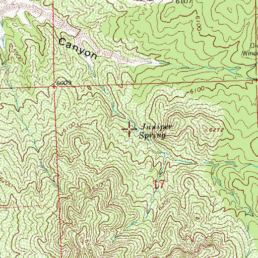 Topographic Map of Juniper Spring, NM