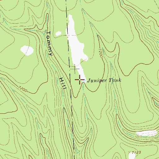 Topographic Map of Juniper Tank, NM