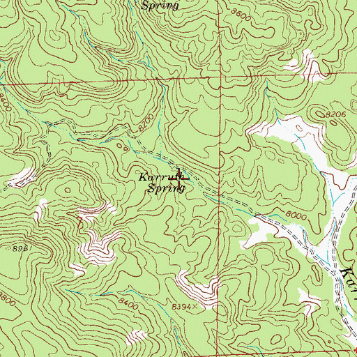 Topographic Map of Karruth Spring, NM