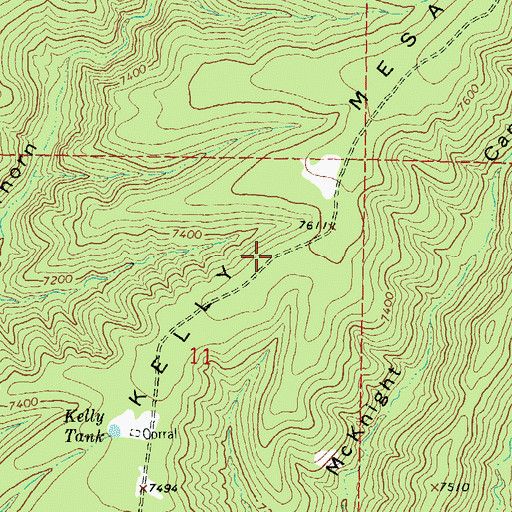 Topographic Map of Kelly Mesa, NM