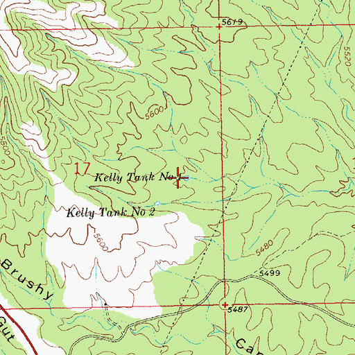 Topographic Map of Upper Gut Ache Tank, NM