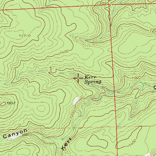 Topographic Map of Kerr Spring, NM