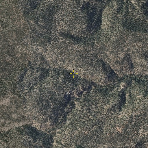Aerial/Satellite Image of Kerr Spring, NM