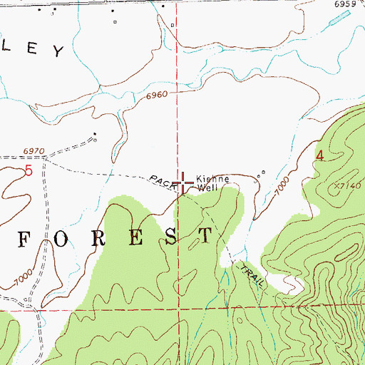 Topographic Map of Kiehne Well, NM