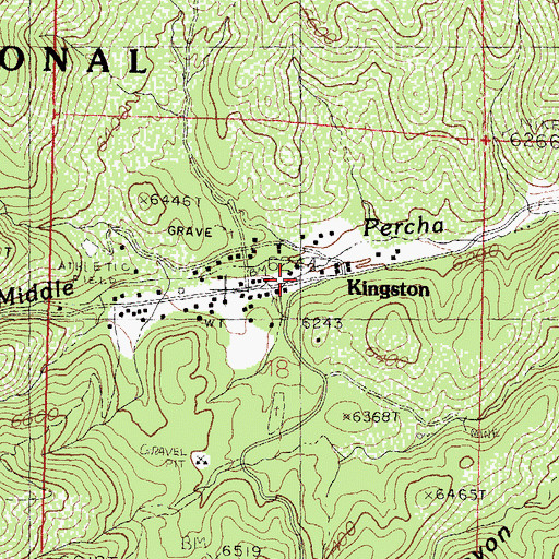 Topographic Map of Kingston, NM