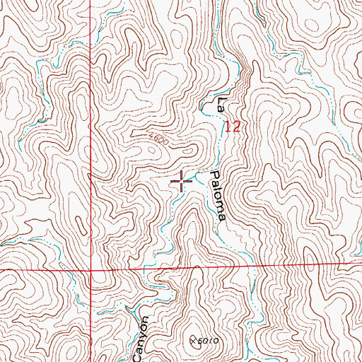 Topographic Map of Kingston Canyon, NM