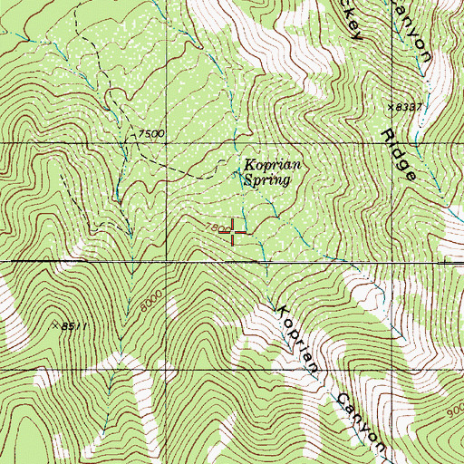 Topographic Map of Koprian Spring, NM