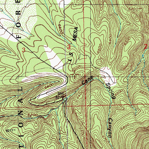 Topographic Map of L S Mesa, NM