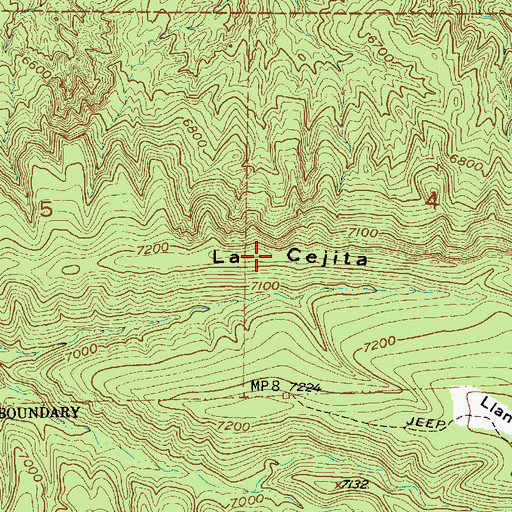 Topographic Map of La Cejita, NM