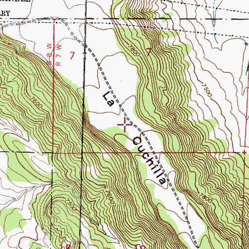 Topographic Map of La Cuchilla, NM