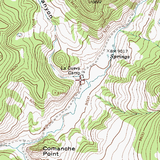 Topographic Map of La Cueva Canyon, NM