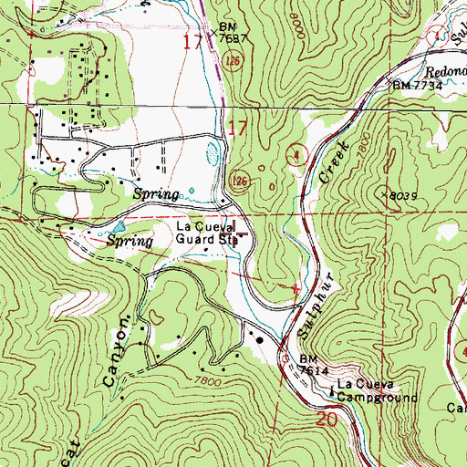 Topographic Map of La Cueva Guard Station, NM