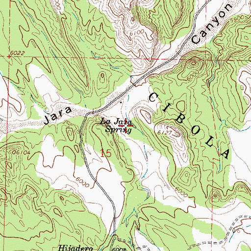 Topographic Map of La Jara Spring, NM