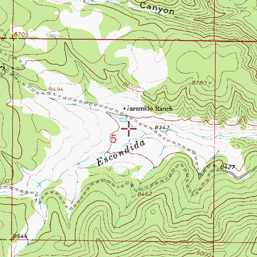 Topographic Map of La Manga Canyon, NM