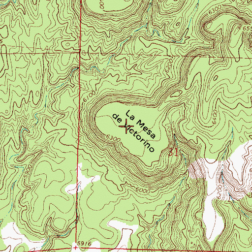 Topographic Map of La Mesa de Victorino, NM