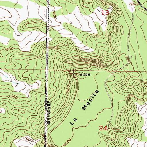 Topographic Map of La Mesita, NM