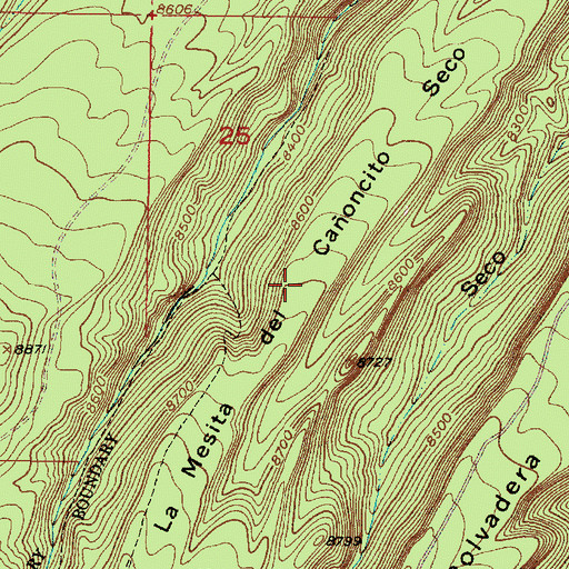 Topographic Map of La Mesita del Canoncito Seco, NM
