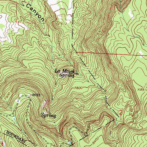 Topographic Map of La Mosca Spring, NM