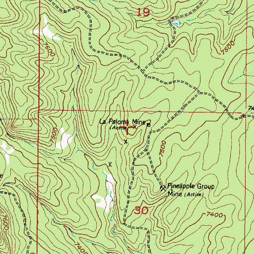 Topographic Map of LaPaloma Mine, NM