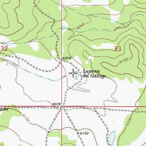 Topographic Map of Laguana del Gallego, NM