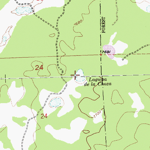 Topographic Map of Laguna de la Choza, NM