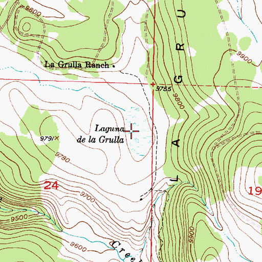 Topographic Map of Laguna de la Grulla, NM