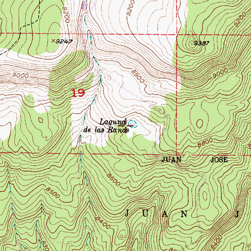 Topographic Map of Laguna de las Ranas, NM