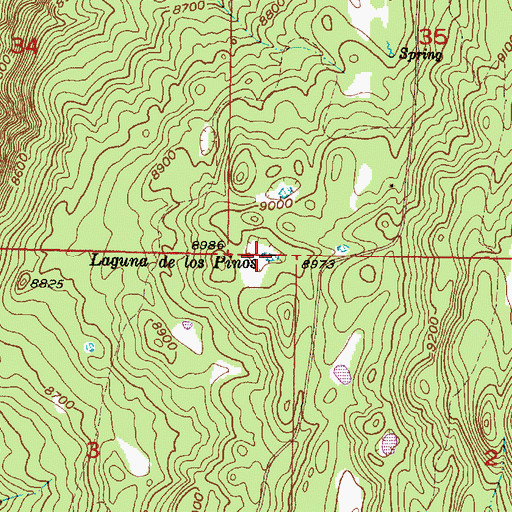 Topographic Map of Laguna de los Pinos, NM