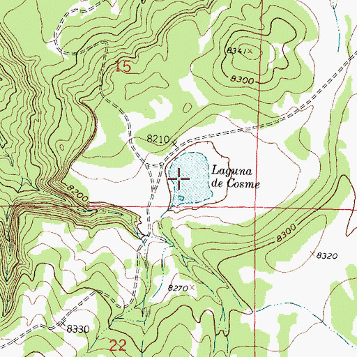 Topographic Map of Laguna de Cosme, NM