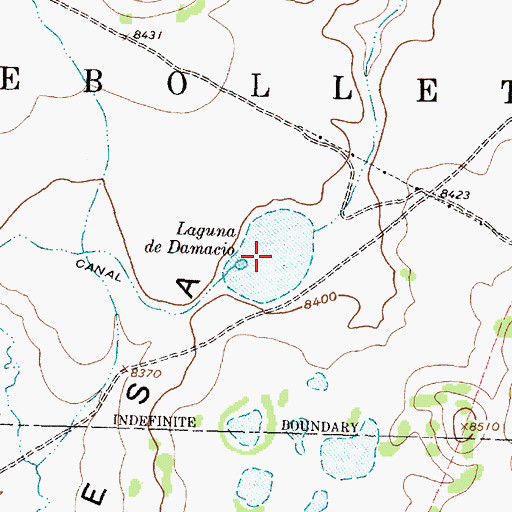 Topographic Map of Laguna de Damacio, NM