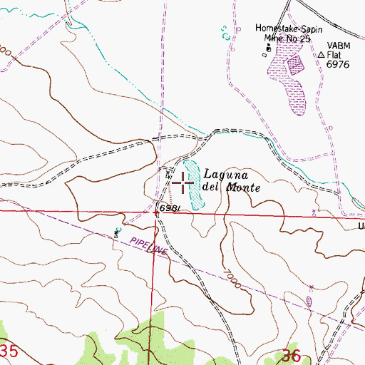 Topographic Map of Laguna del Monte, NM