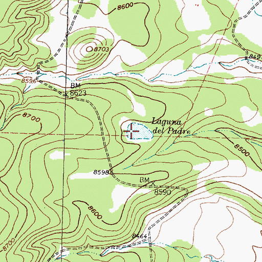 Topographic Map of Laguna del Padre, NM