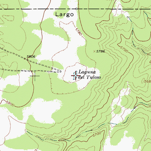 Topographic Map of Laguna del Tuloso, NM