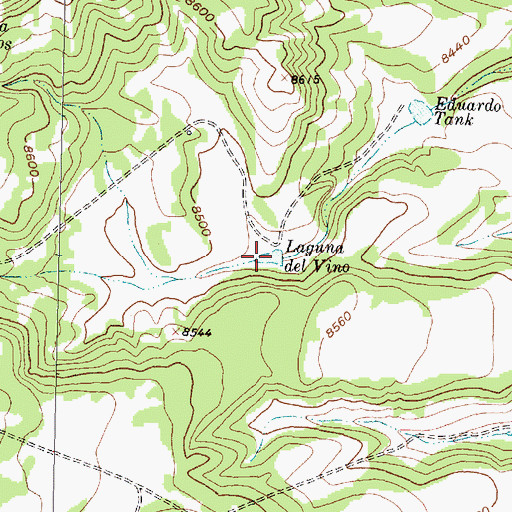 Topographic Map of Laguna del Vino, NM