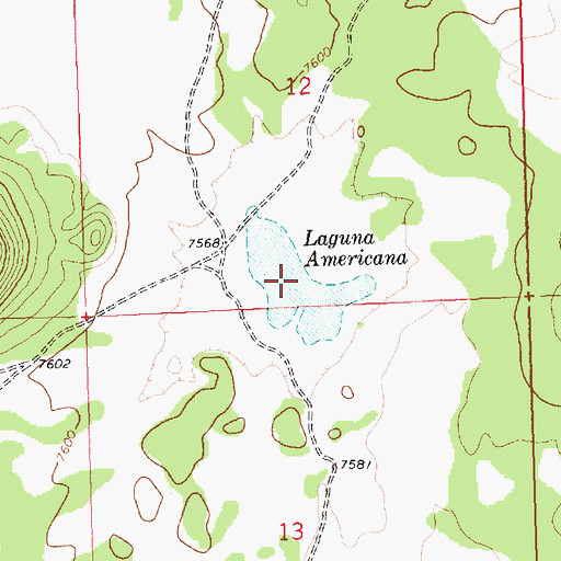Topographic Map of Laguna Americana, NM