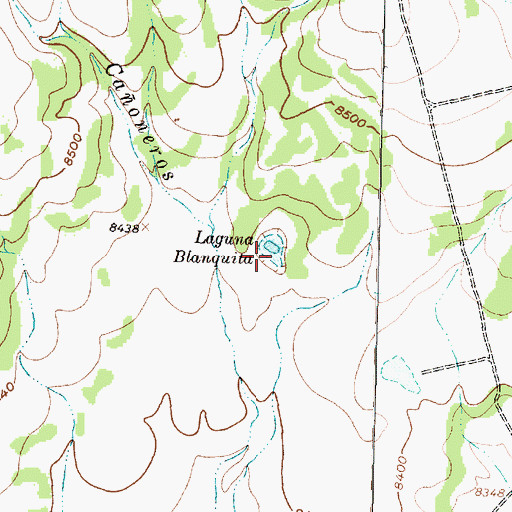 Topographic Map of Laguna Blanquita, NM