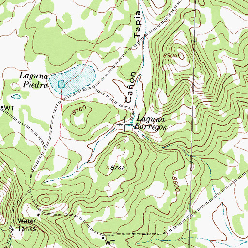 Topographic Map of Laguna Borregos, NM