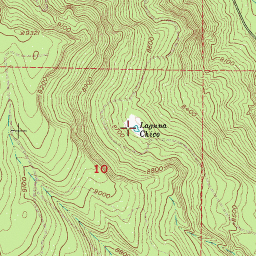 Topographic Map of Laguna Chico, NM