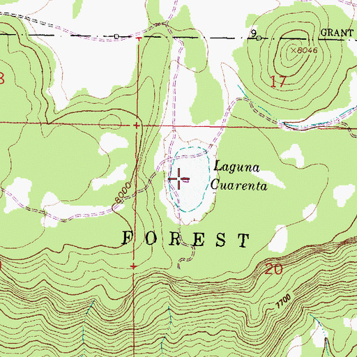 Topographic Map of Laguna Cuarenta, NM