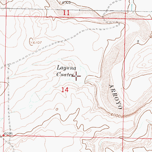 Topographic Map of Laguna Cuates, NM