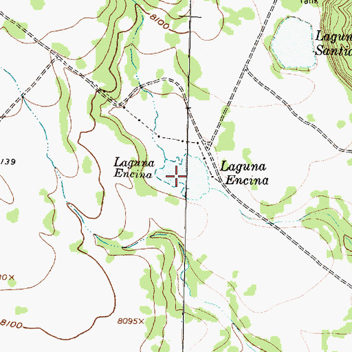 Topographic Map of Laguna Encina, NM