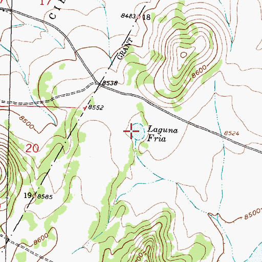 Topographic Map of Laguna Fria, NM