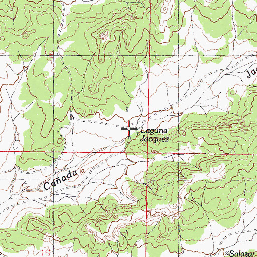 Topographic Map of Laguna Jacquez, NM