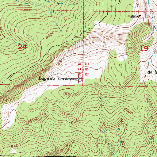 Topographic Map of Laguna Lorenza, NM