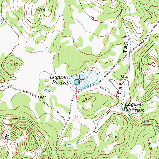 Topographic Map of Laguna Piedra, NM