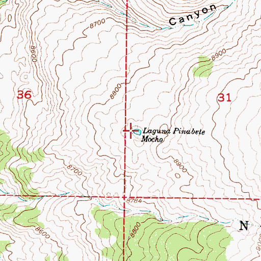 Topographic Map of Laguna Pinabete Mocho, NM
