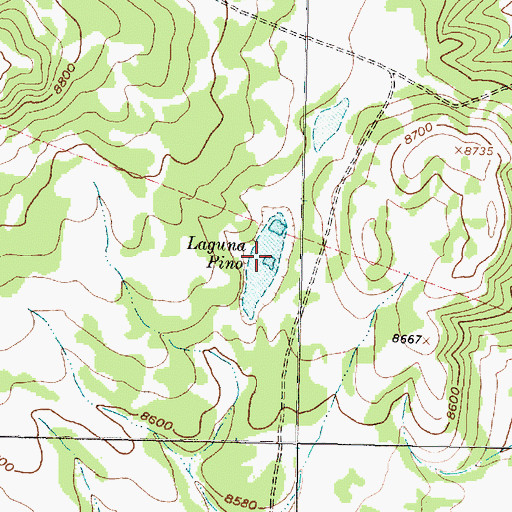 Topographic Map of Laguna Pino, NM