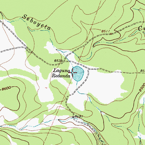 Topographic Map of Laguna Redonda, NM