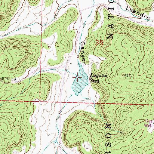 Topographic Map of Laguna Seca, NM